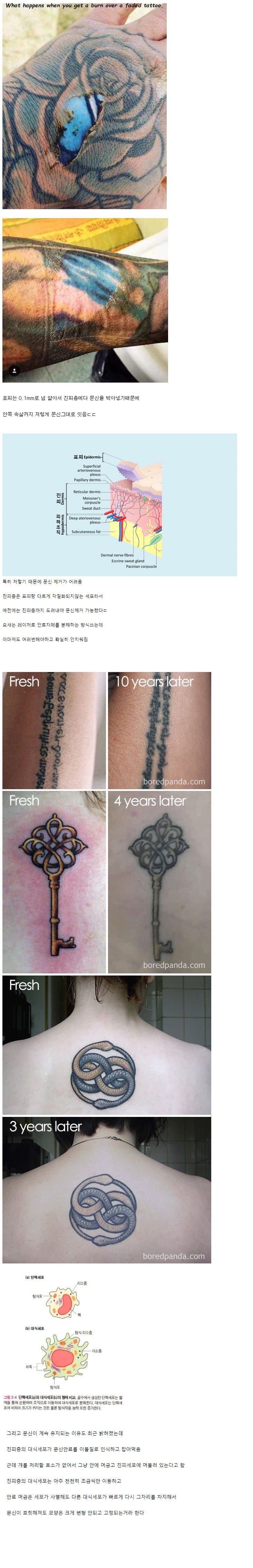 Screenshot 2023-06-02 at 22.28.29.JPG