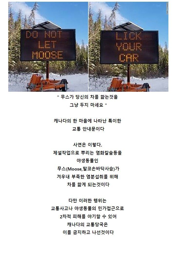 Screenshot 2023-05-31 at 00.46.40.JPG