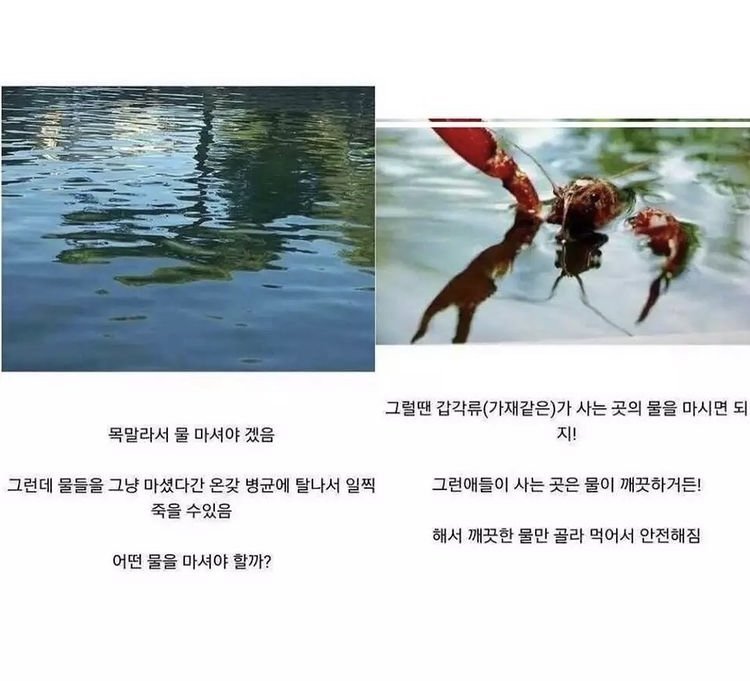 10대 여고생의 아마존 생존기.jpg