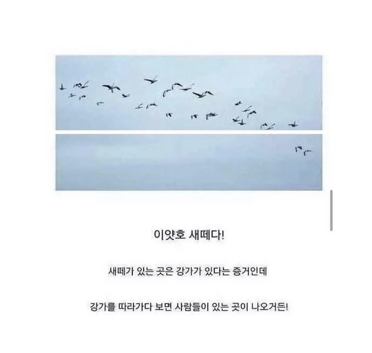 10대 여고생의 아마존 생존기.jpg