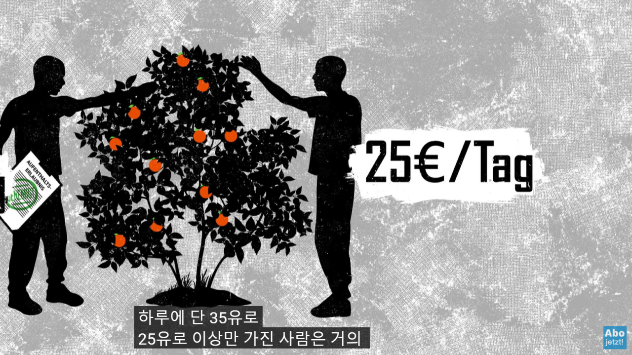 image.png 유럽의 저렴한 과일, 채소의 비결.jpg