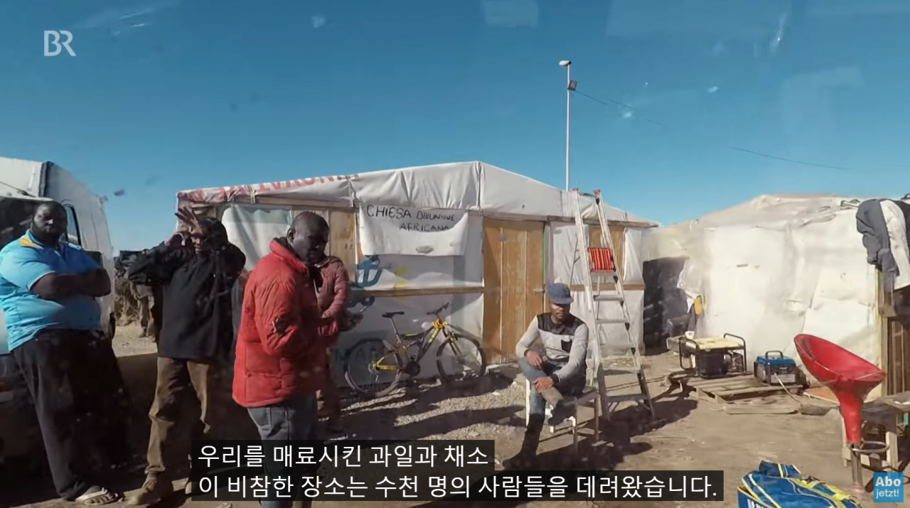 image.png 유럽의 저렴한 과일, 채소의 비결.jpg