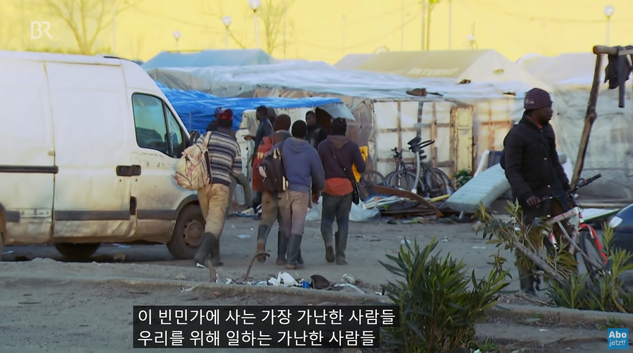 image.png 유럽의 저렴한 과일, 채소의 비결.jpg