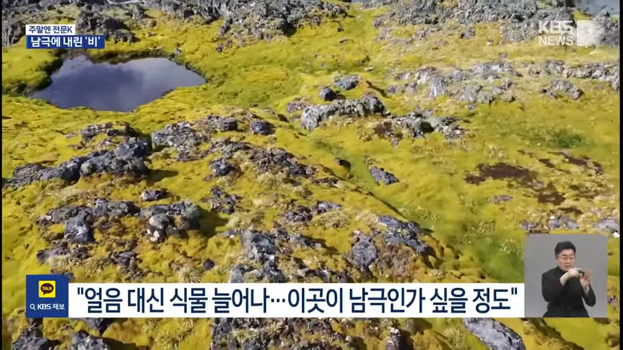 image.png &quot;남극에 비가 온다.&quot;