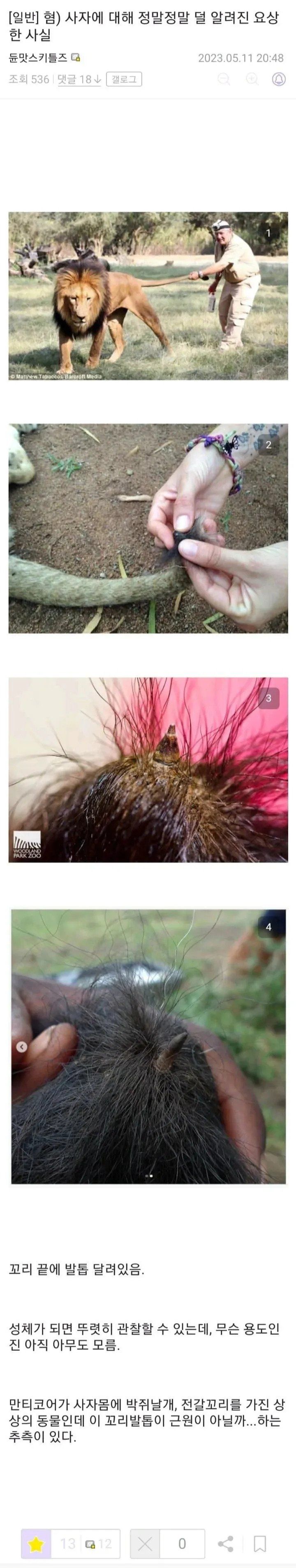 thumb_crop_resize (2).webp.ren.jpg