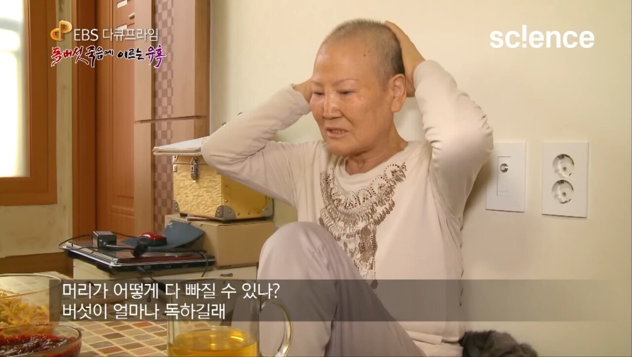 Screenshot_20231017_222655_YouTube.jpg 독버섯을 먹고 머리카락이 다 빠져버린 노부부.jpg