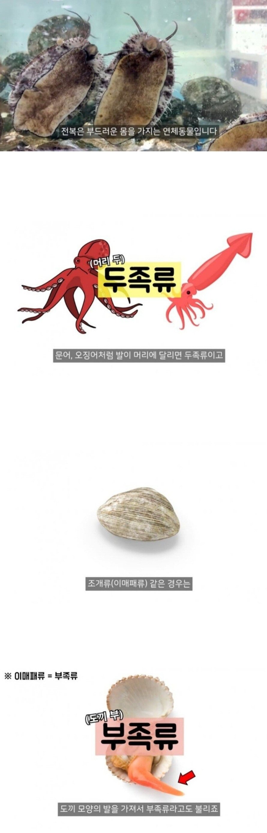 Screenshot_20240629_095656 (1).jpg