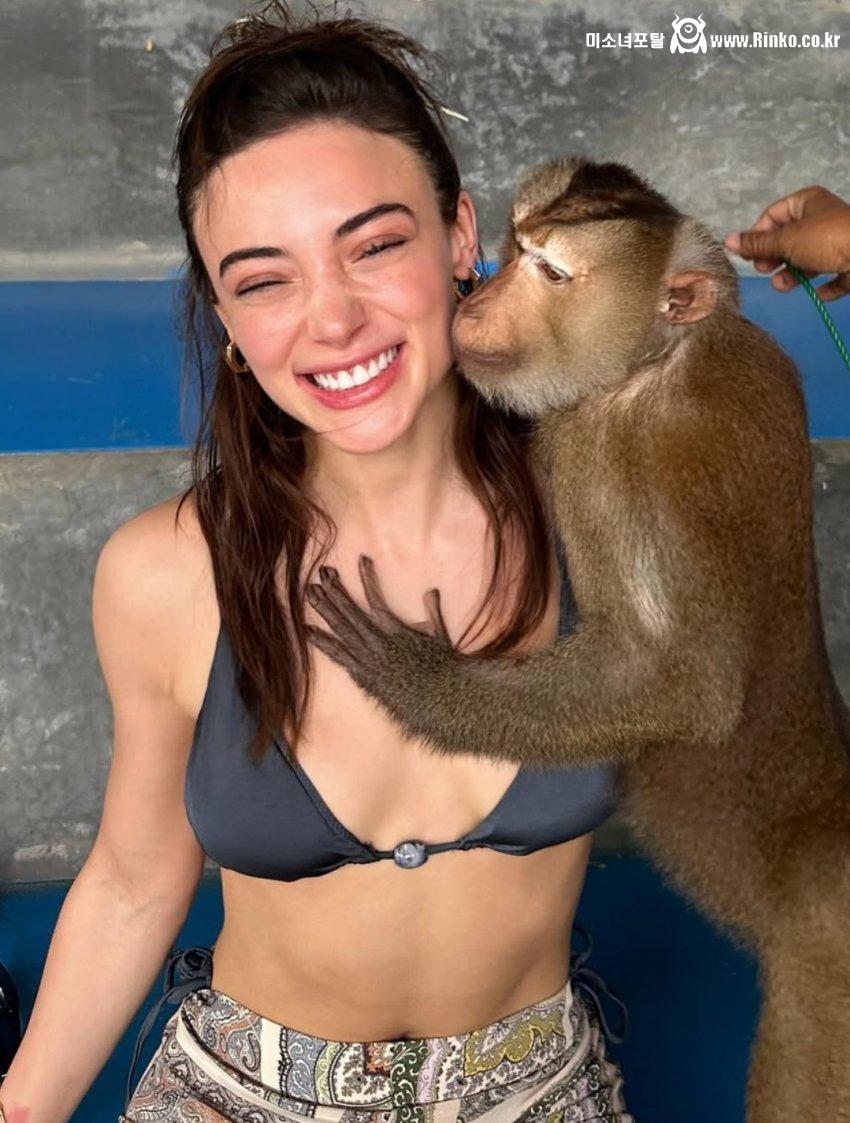 망할 원숭이_118108_2.jpg