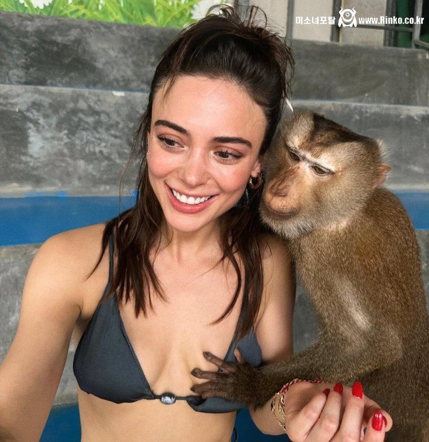 망할 원숭이_118108_3.jpg