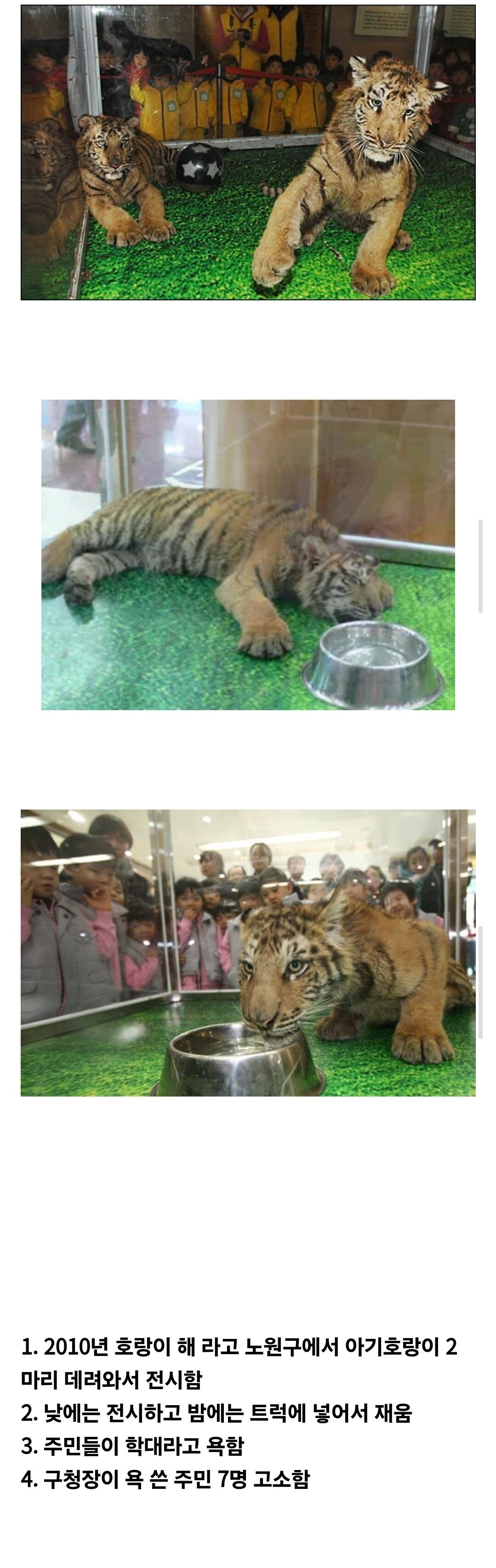 Screenshot_20250704_210536_Samsung Internet.jpg