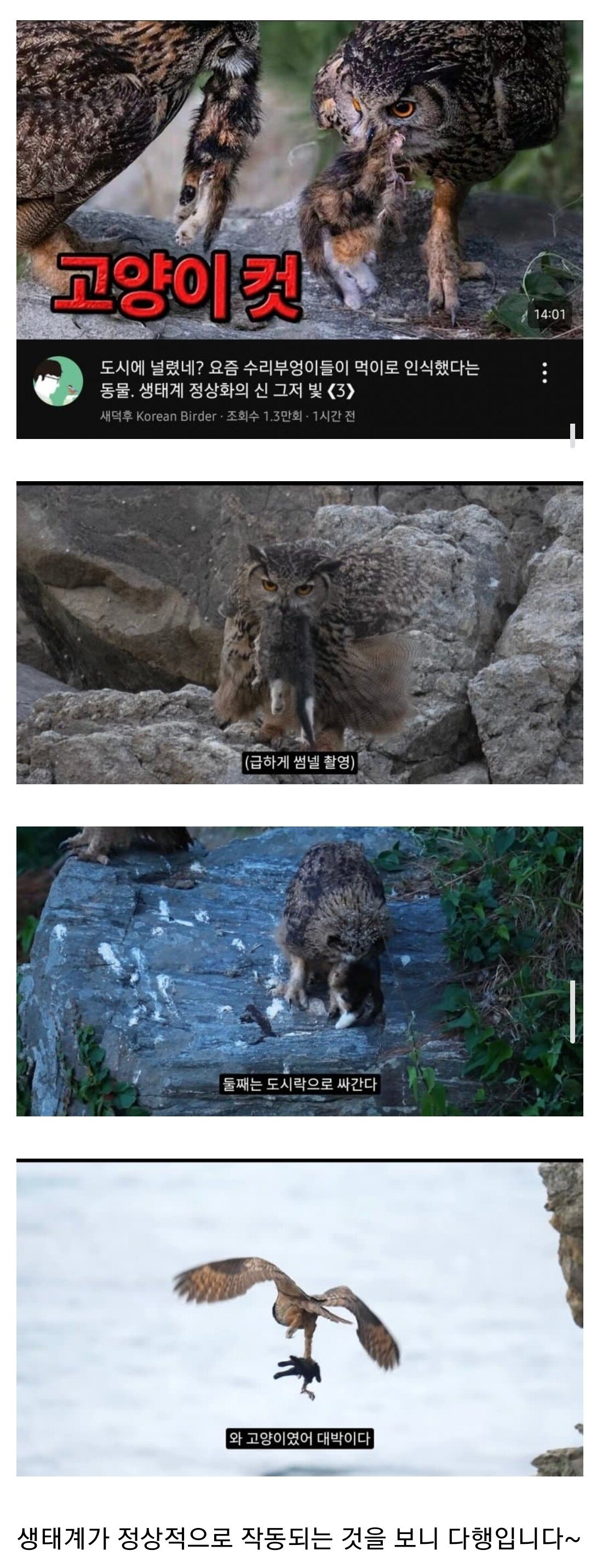 Screenshot_20250709_153750_Samsung Internet.jpg