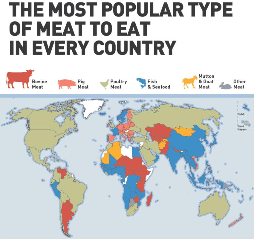 국가별 주력 단백질 공급원 통계1.jpg