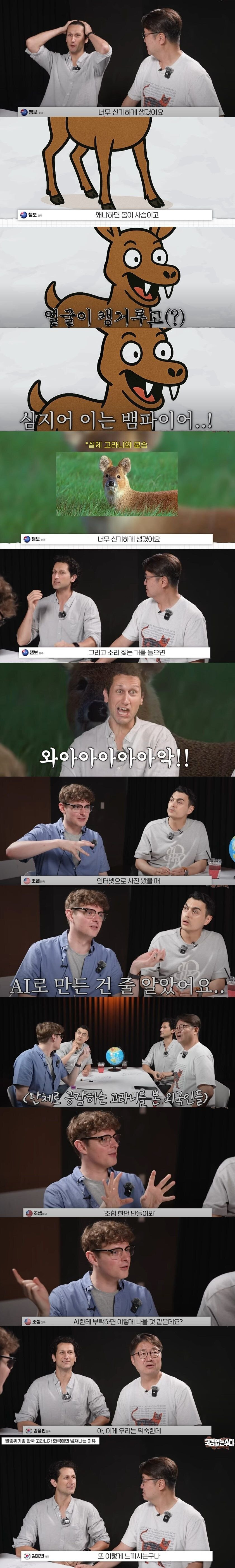 외국인들은 존재자체를 못믿겠다는 한국 토종 동물1.jpg