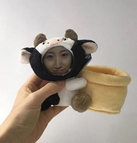 자동차 인증 대참사2.webp.jpg