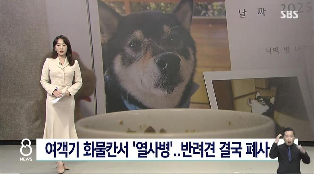 항공기 화물칸 반려동물 폐사1.jpg