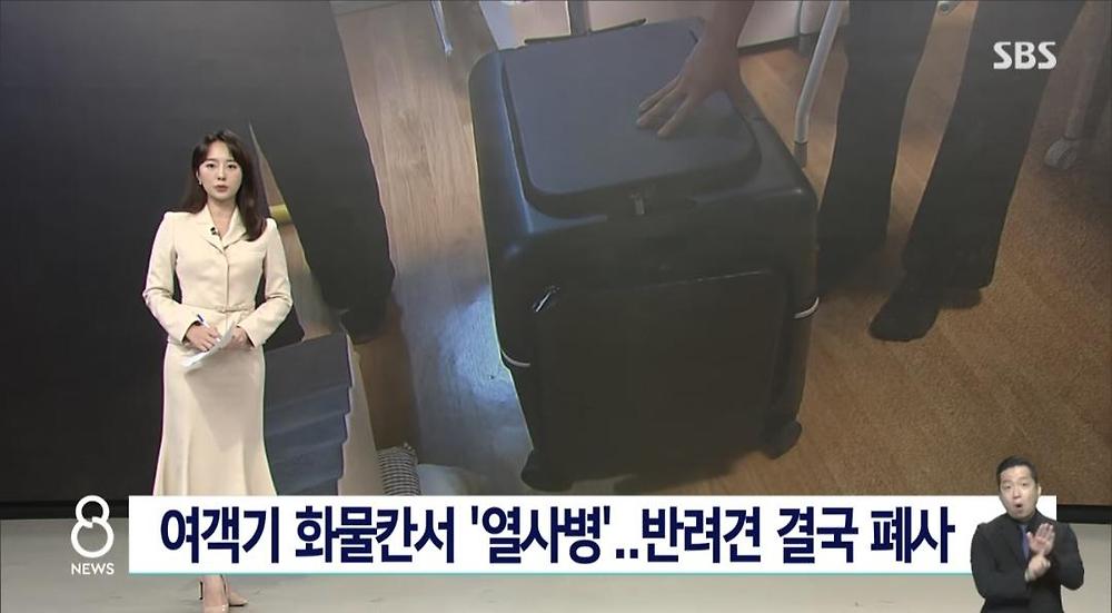 항공기 화물칸 반려동물 폐사2.jpg