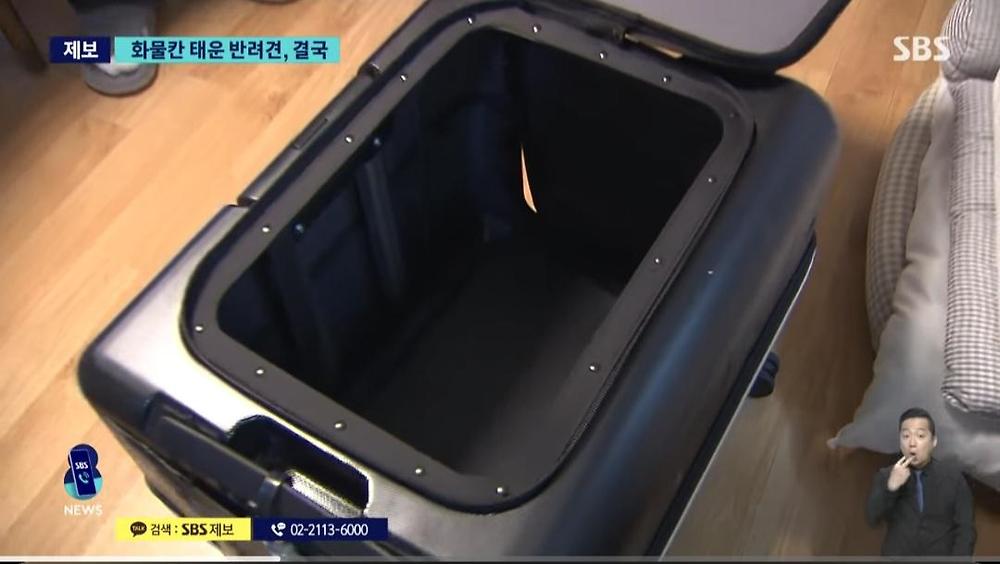 항공기 화물칸 반려동물 폐사4.jpg