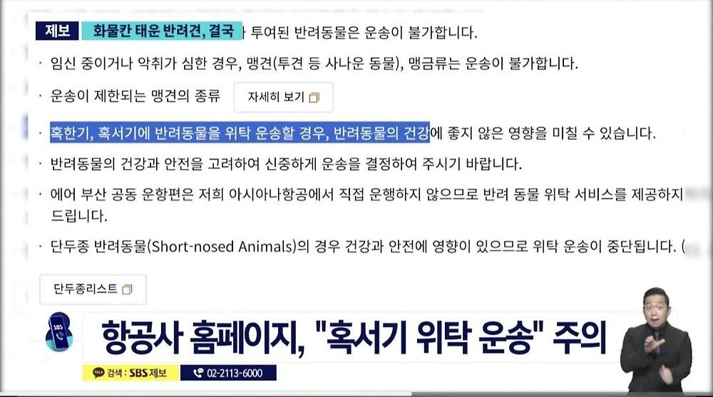 항공기 화물칸 반려동물 폐사5.jpg