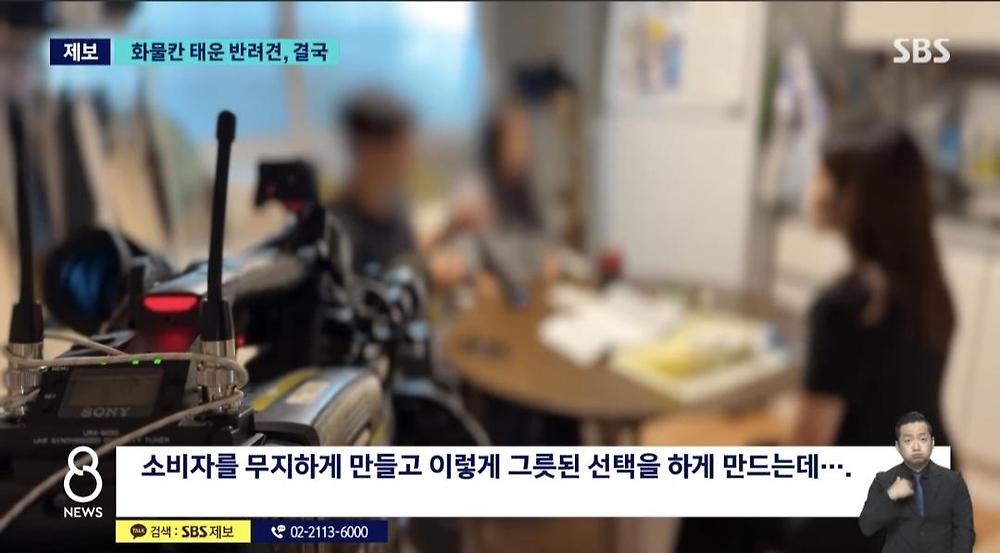 항공기 화물칸 반려동물 폐사7.jpg