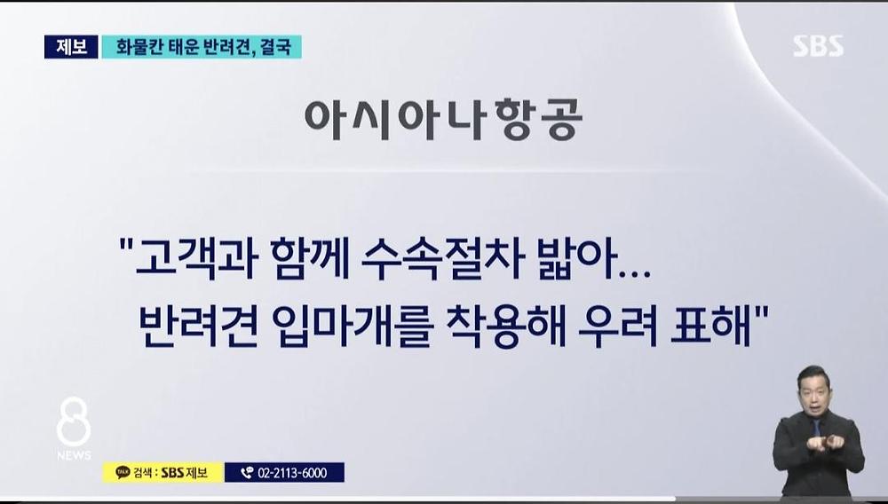항공기 화물칸 반려동물 폐사8.jpg