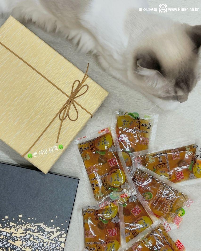 락킷걸 한이슬 인별