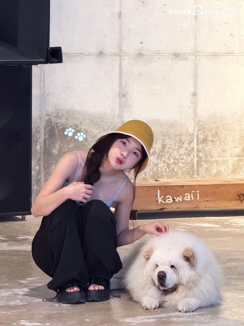 이다혜 + 전북홍보대사