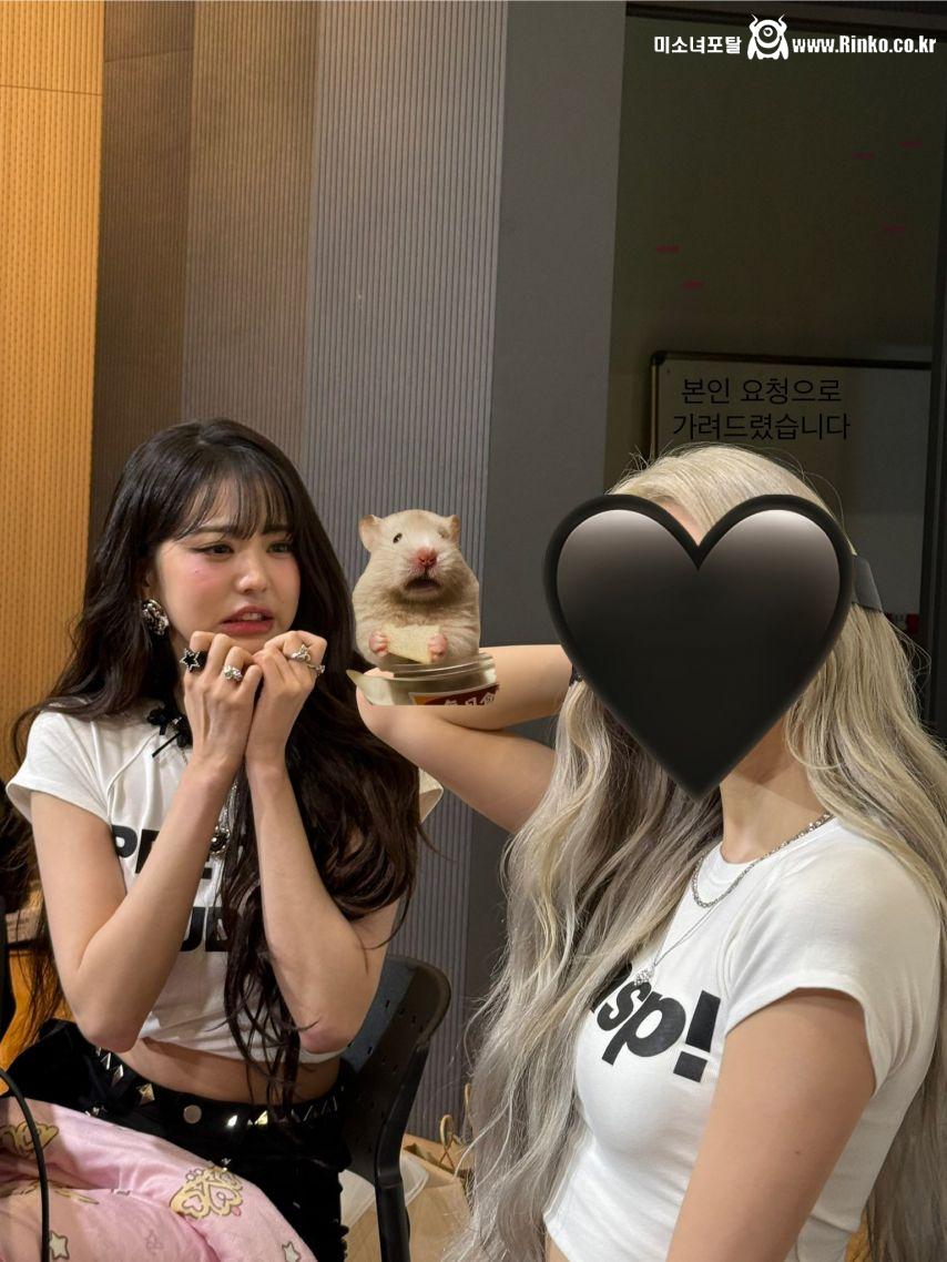 아이브 장원영 (안유진,가을,레이,이서)