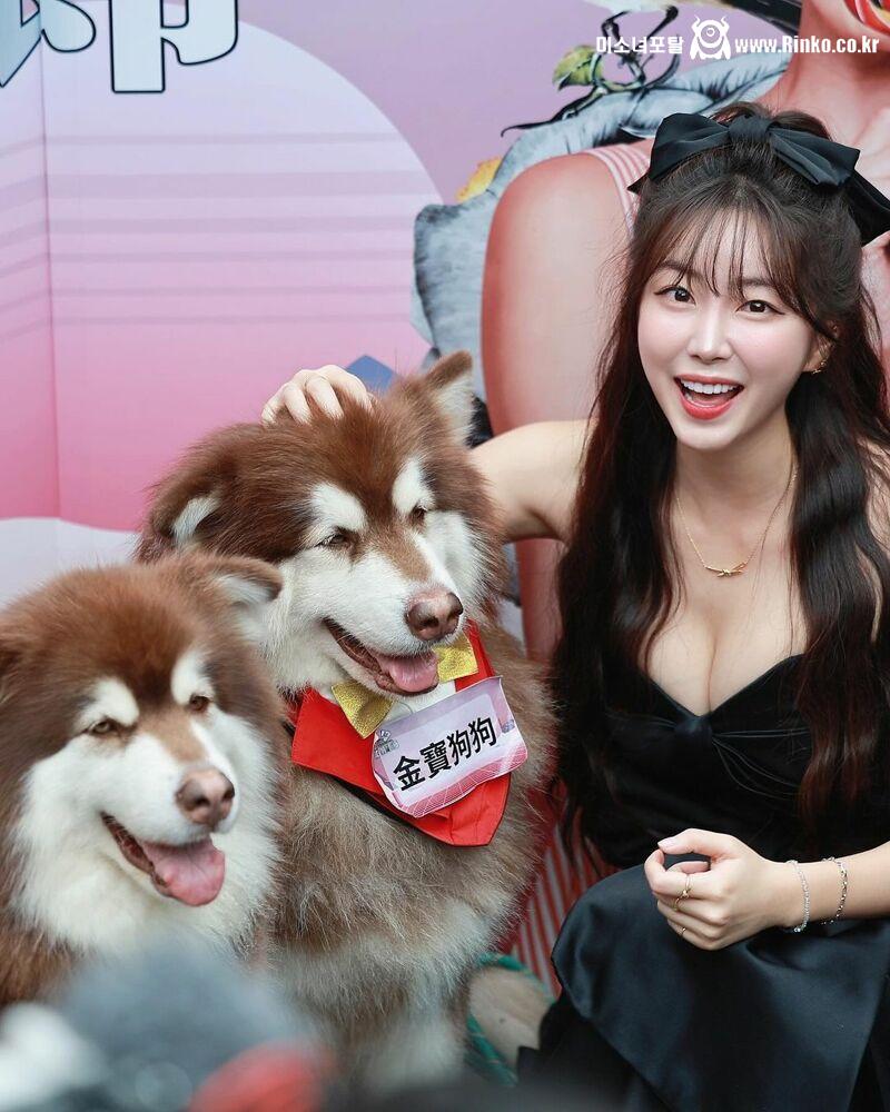 치어리더 안지현