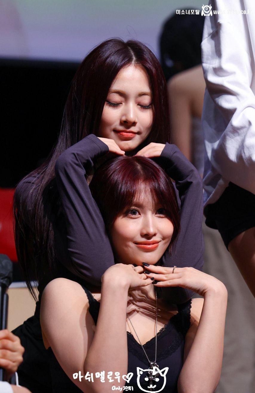 트와이스 쯔위  모모 정연