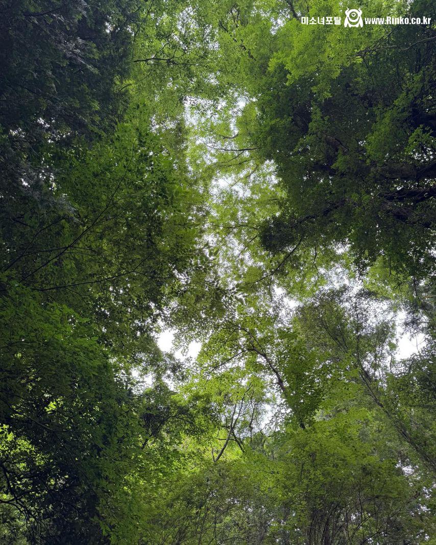 아린 오마이걸 인별