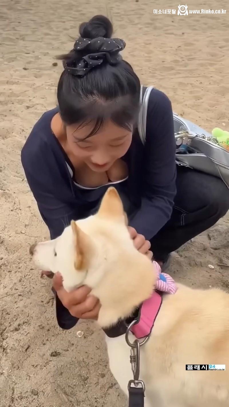 개 이뻐라하는 개조이 주인