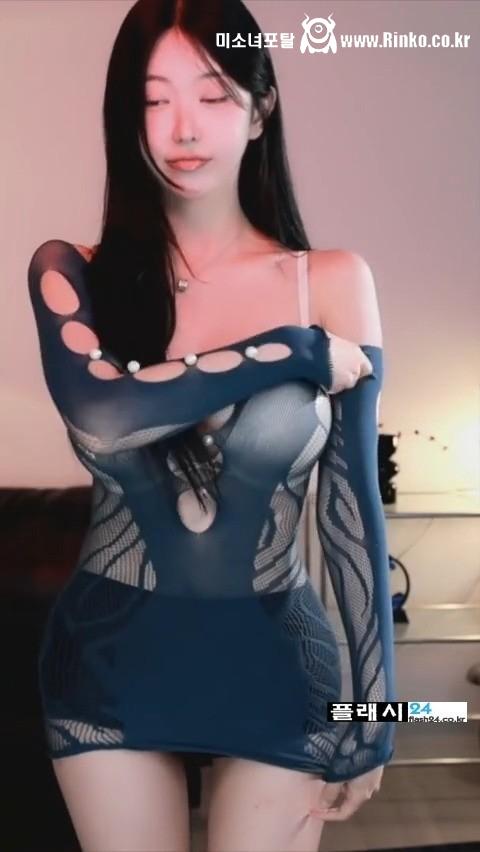 하니니 스판끼 좋은 시스루 망사 원피스