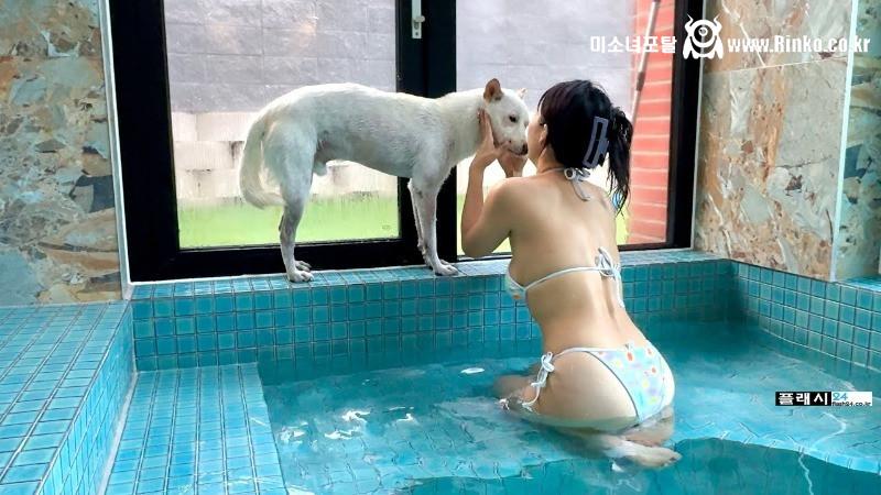 물놀이에 신난 개조이 주인