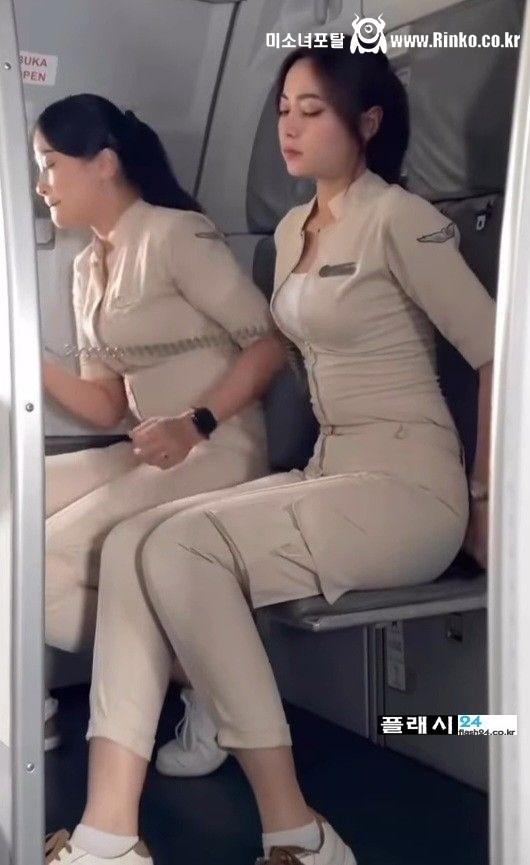 여기는 어느 항공사 스튜어디스죠