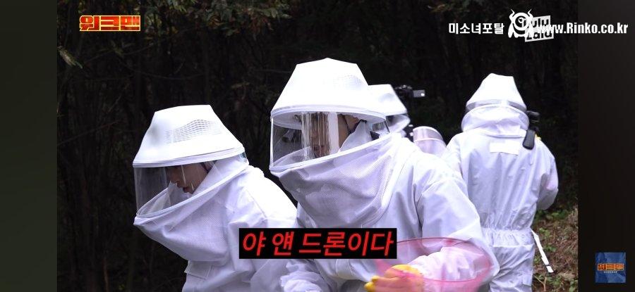 그냥 벌이랑 클라스가 다른 장수말벌