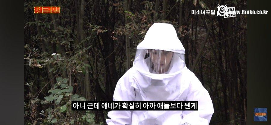 그냥 벌이랑 클라스가 다른 장수말벌