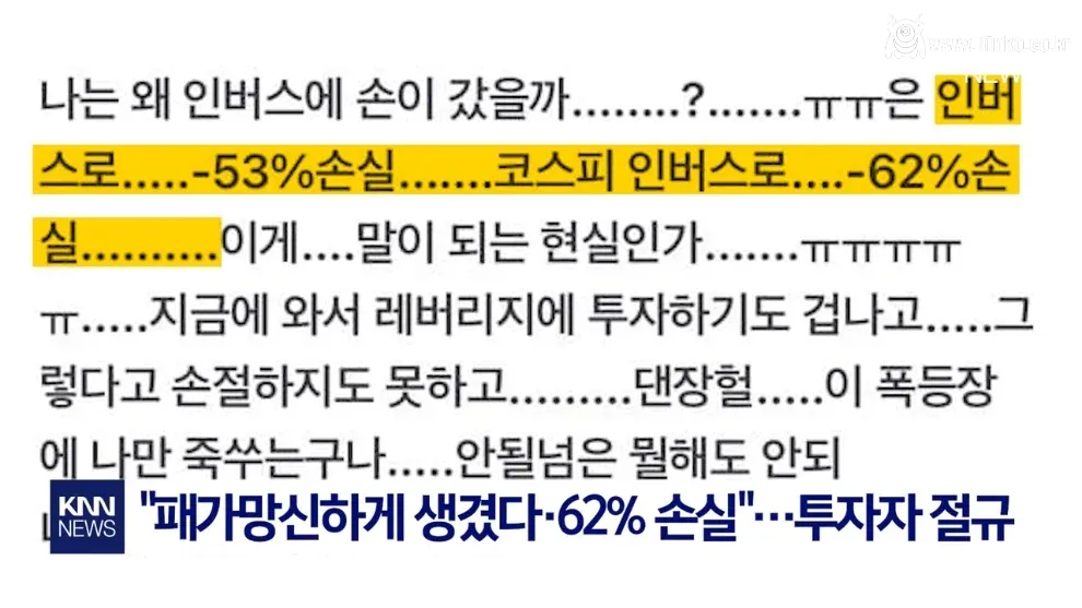 "매국노 핍박 받으며 버텼는데…" 곱버스 개미들 결말