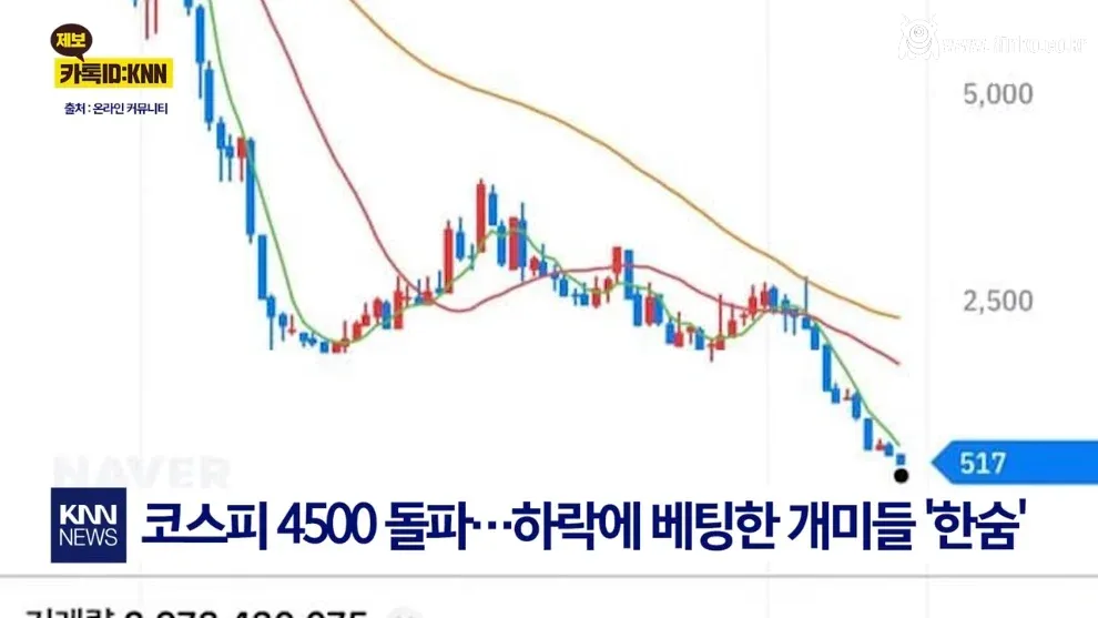 "매국노 핍박 받으며 버텼는데…" 곱버스 개미들 결말