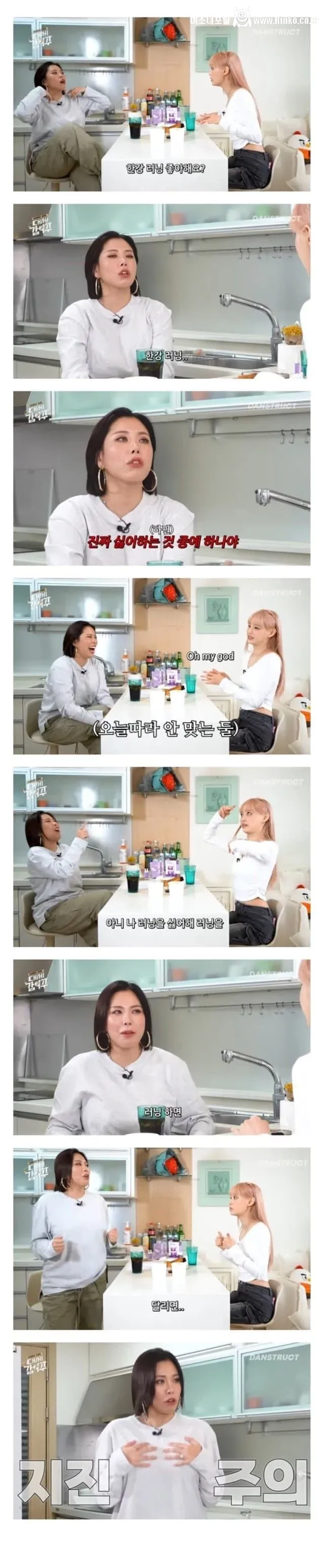 한강 러닝을 싫어하는 가비