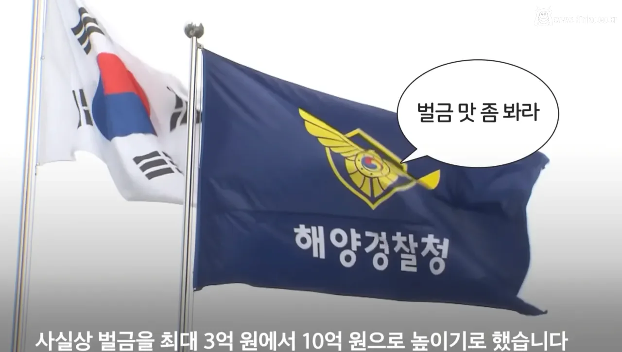 요즘 오징어가 비싸진 이유