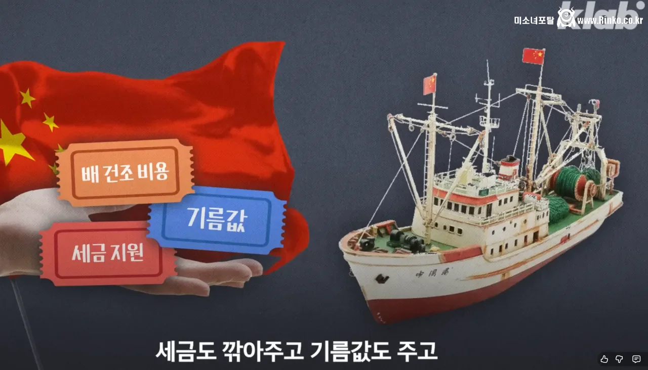 요즘 오징어가 비싸진 이유