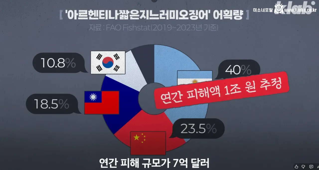 요즘 오징어가 비싸진 이유