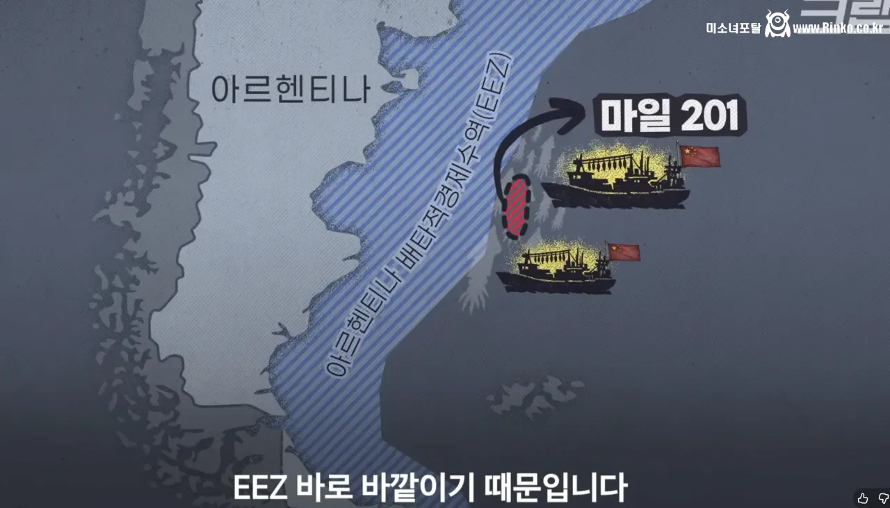 요즘 오징어가 비싸진 이유