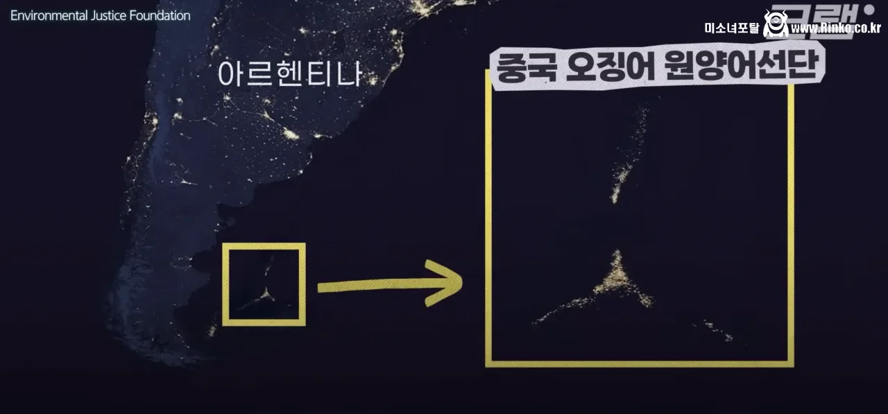 요즘 오징어가 비싸진 이유