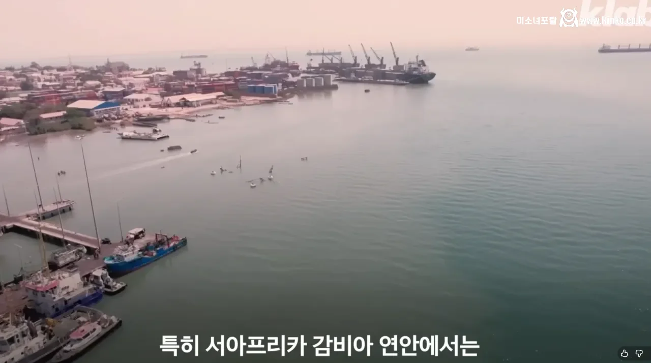 요즘 오징어가 비싸진 이유