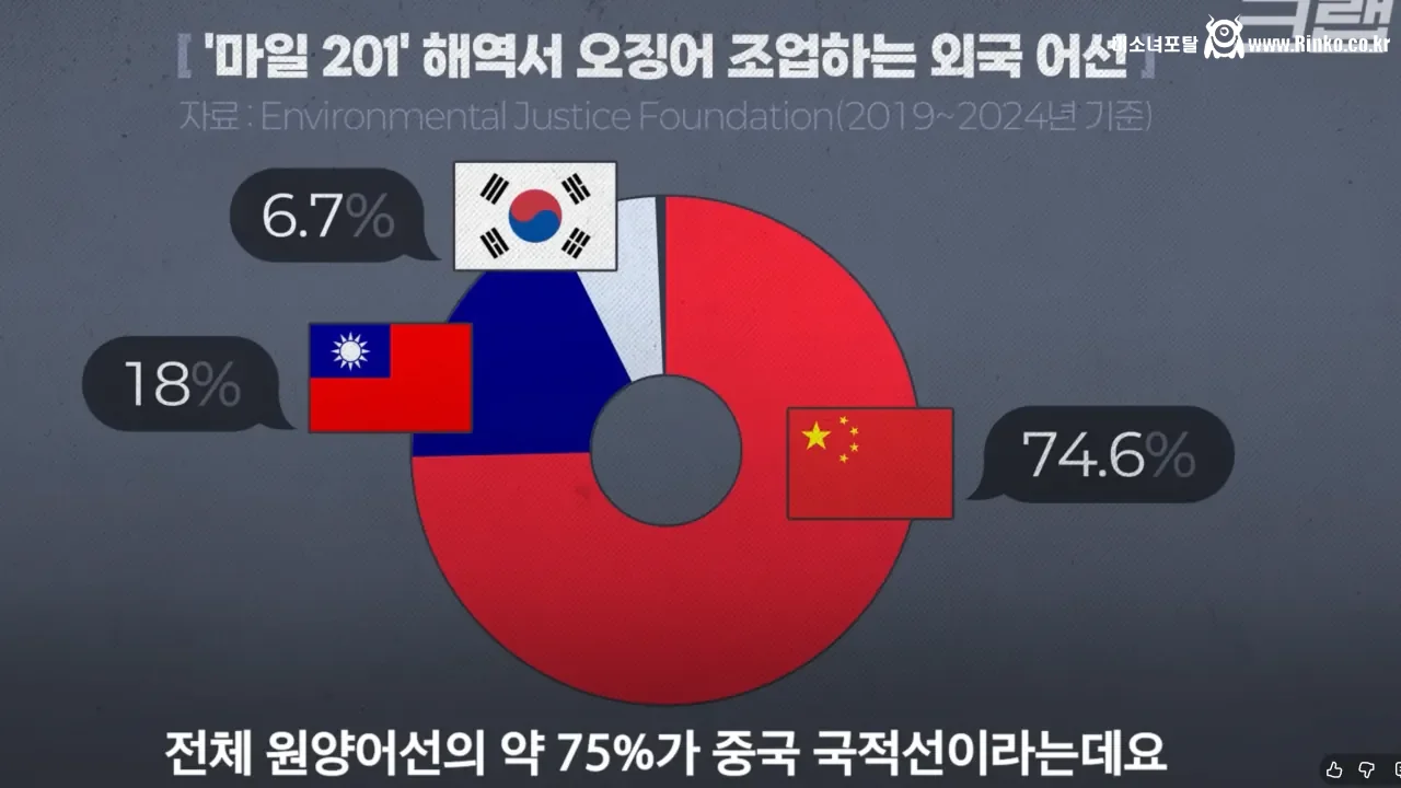 요즘 오징어가 비싸진 이유