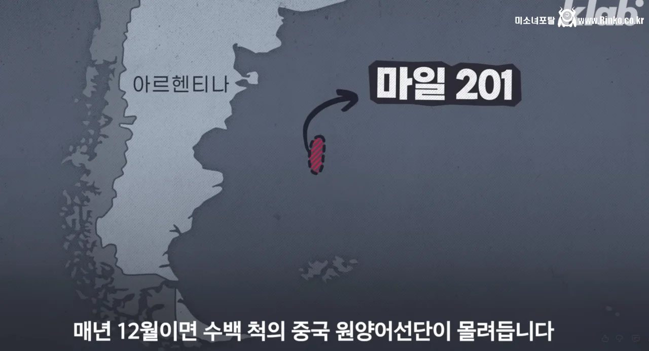 요즘 오징어가 비싸진 이유