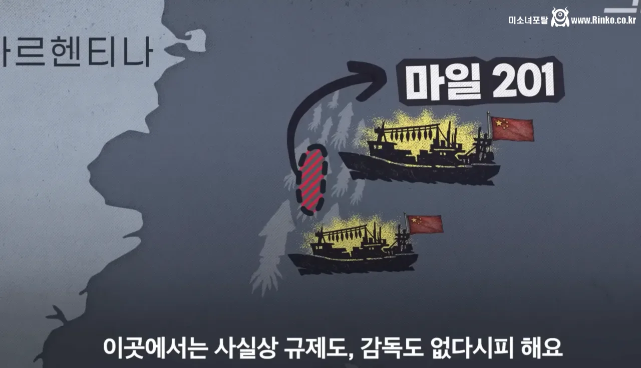 요즘 오징어가 비싸진 이유