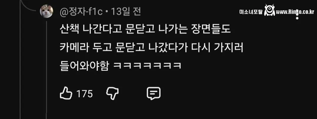 브이로그 다 가짜라는 여배우