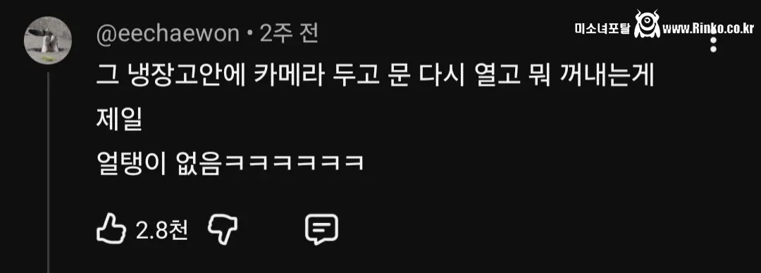 브이로그 다 가짜라는 여배우